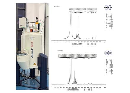 变温液体核磁·测试